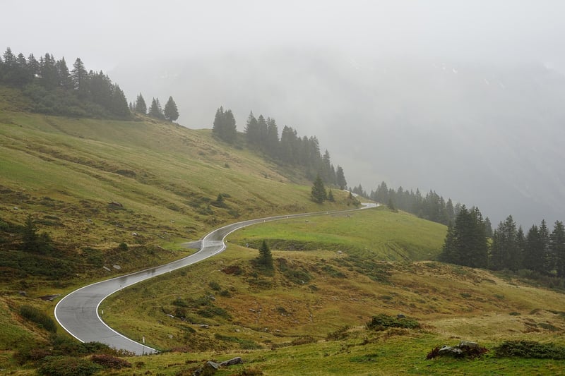 Road through foggy forest in autumn